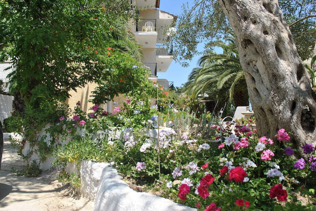 Helios Splendid 3*