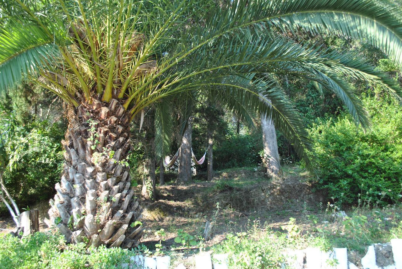 Helios Splendid 3*
