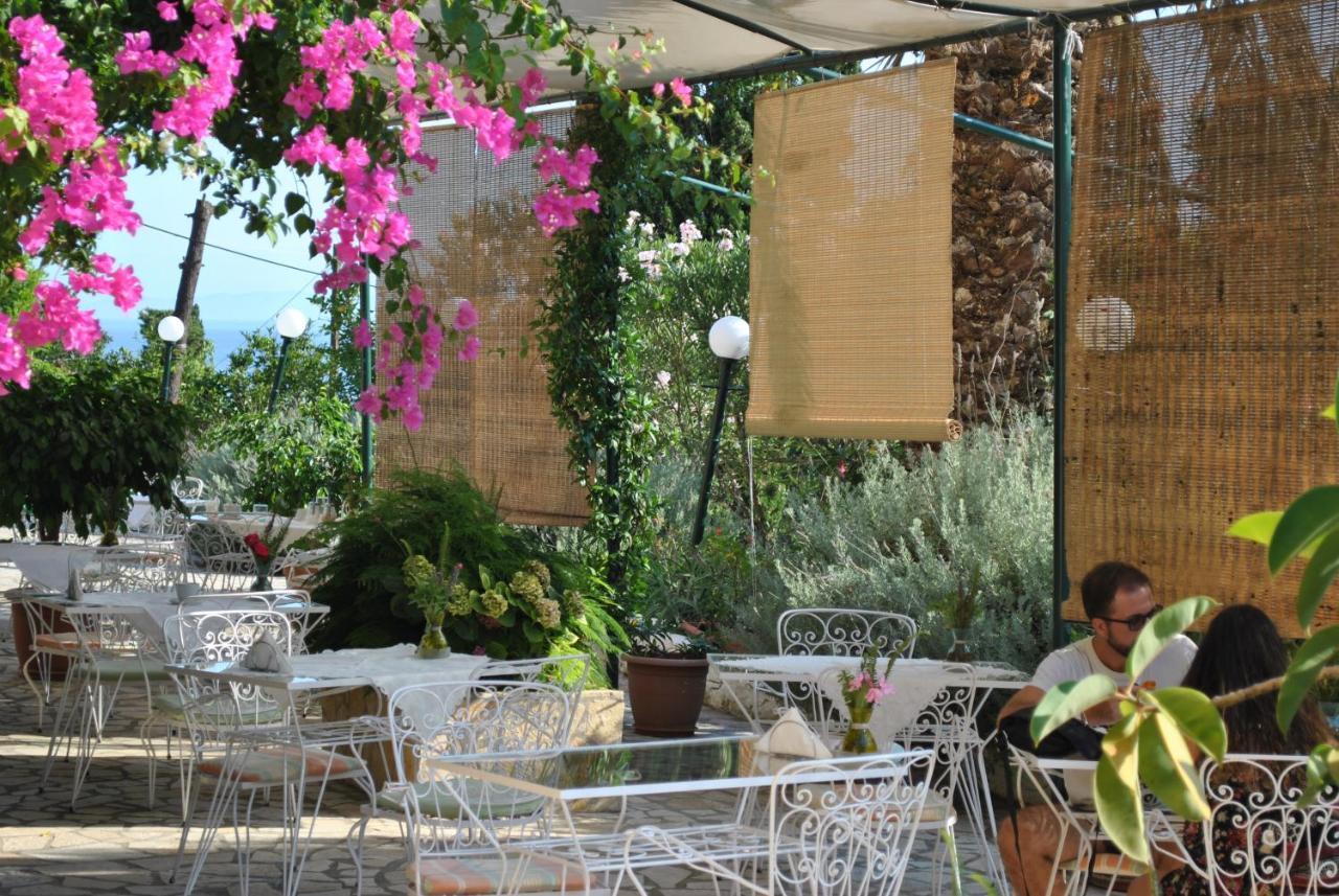 Helios Splendid 3*