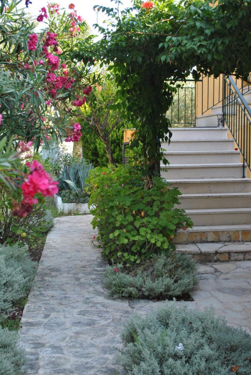 Helios Splendid 3* Mpoukaris
